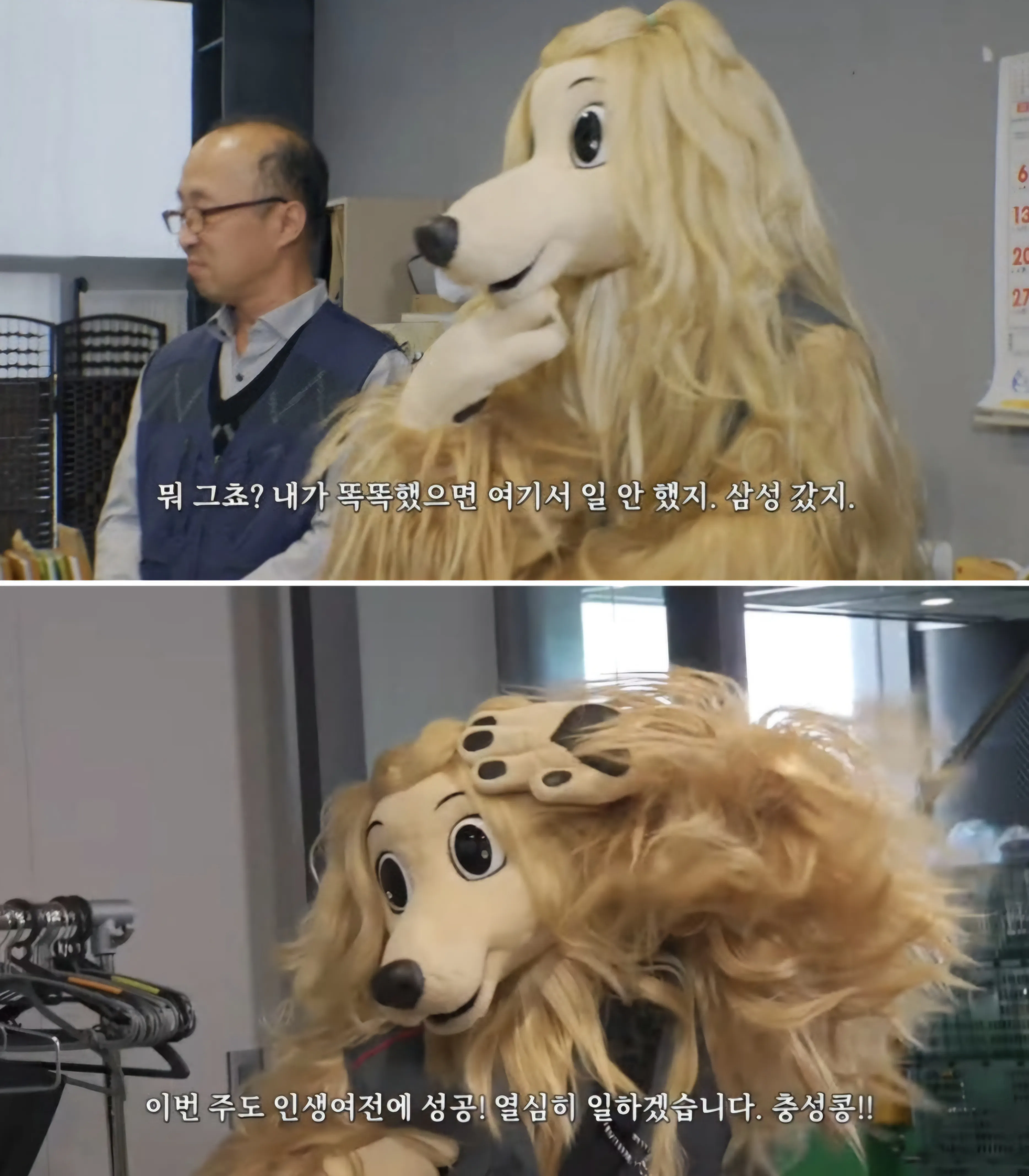 세금 : 선신고 - 후신고 에 대해